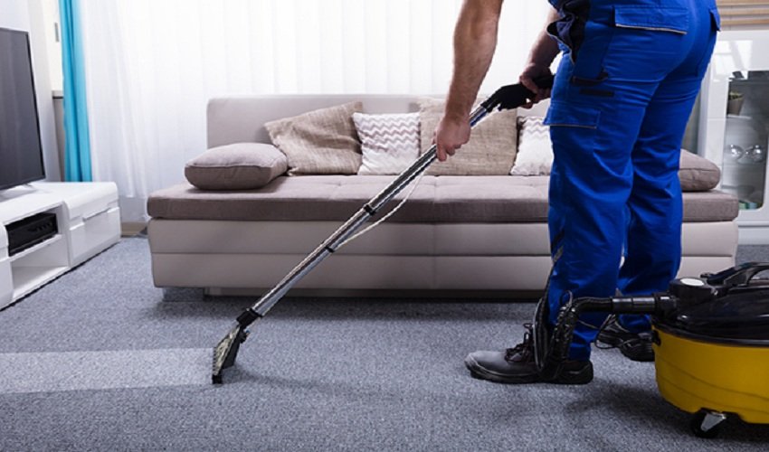 How Often Should You Schedule Professional Carpet Steam Cleaning?