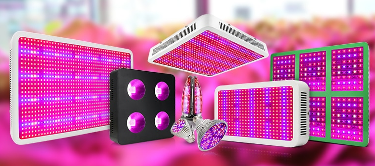 Why You Should Buy A Led Grow Lights