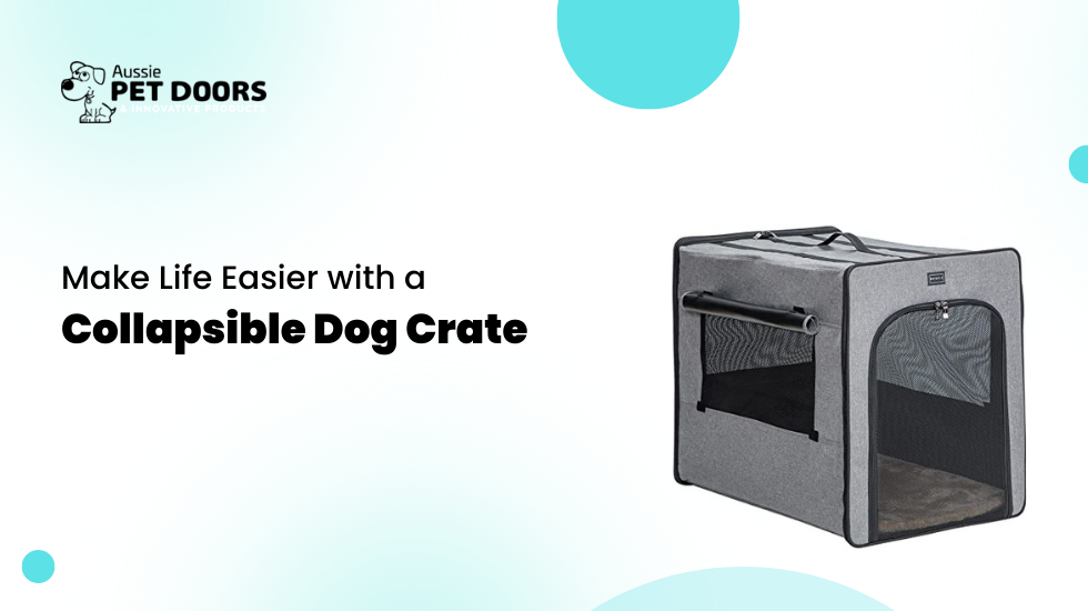 Make Life Easier with a Collapsible Dog Crate