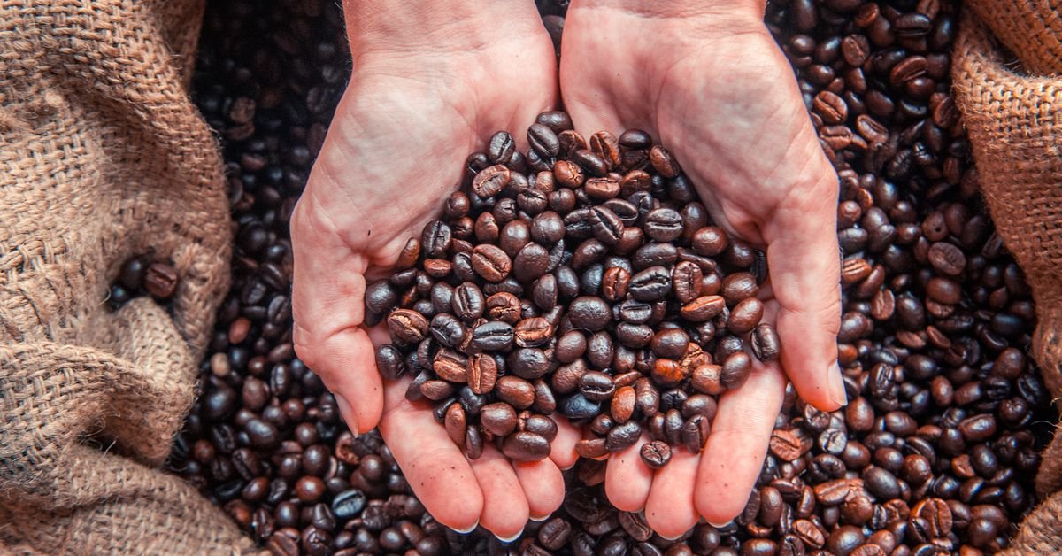 How Much Should You Know About Coffee Roasters