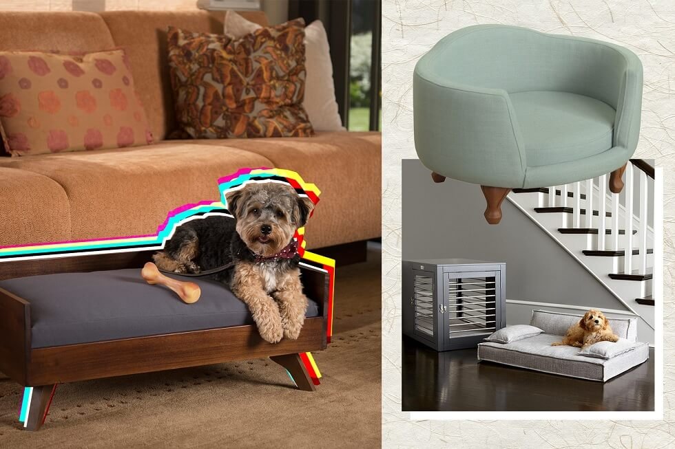 Designer Dog Beds: Get Your Dog to Snooze Through the Night