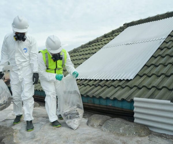 Why Do You Need To Hire A Professional Asbestos Removal Company?