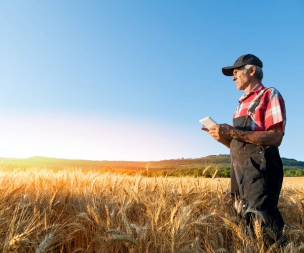 Farming Accounting: Everything You Need To Know About