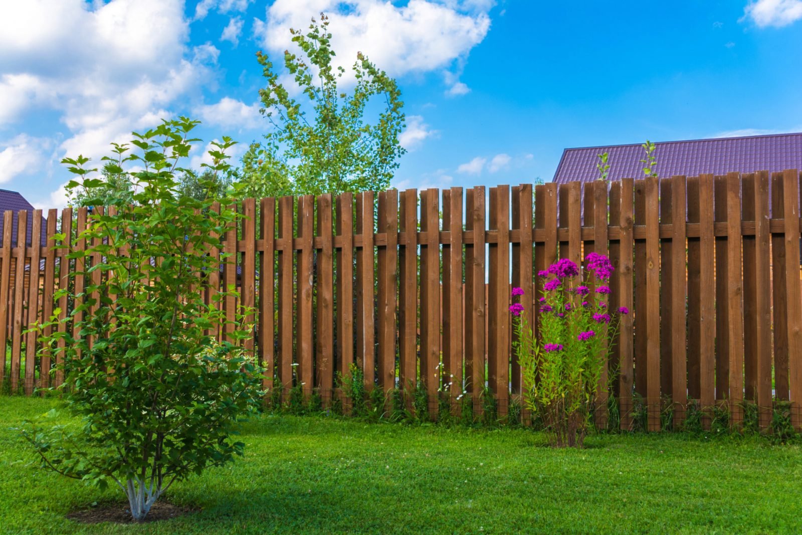 Elevate Your Curb Appeal: Stylish Fencing Options for Modern Homes